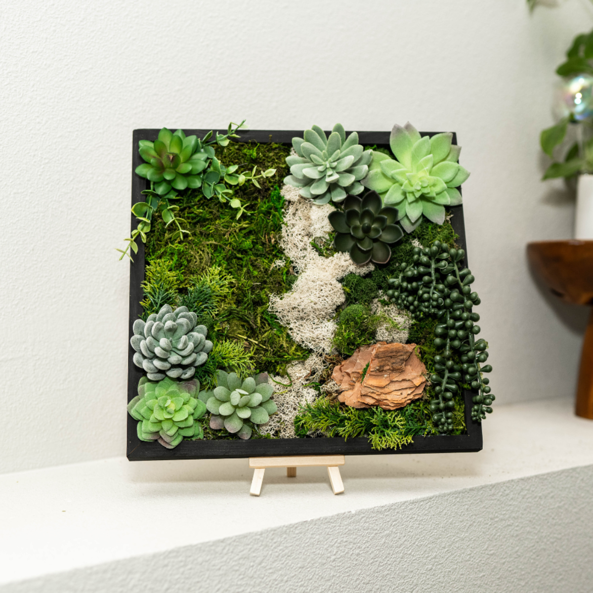 Plant Lovers Gift Set