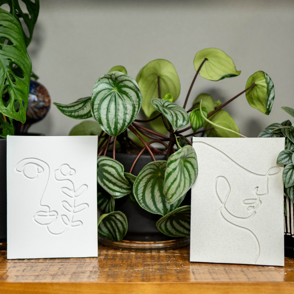 Cement Line Art Family-Style Craft Pack