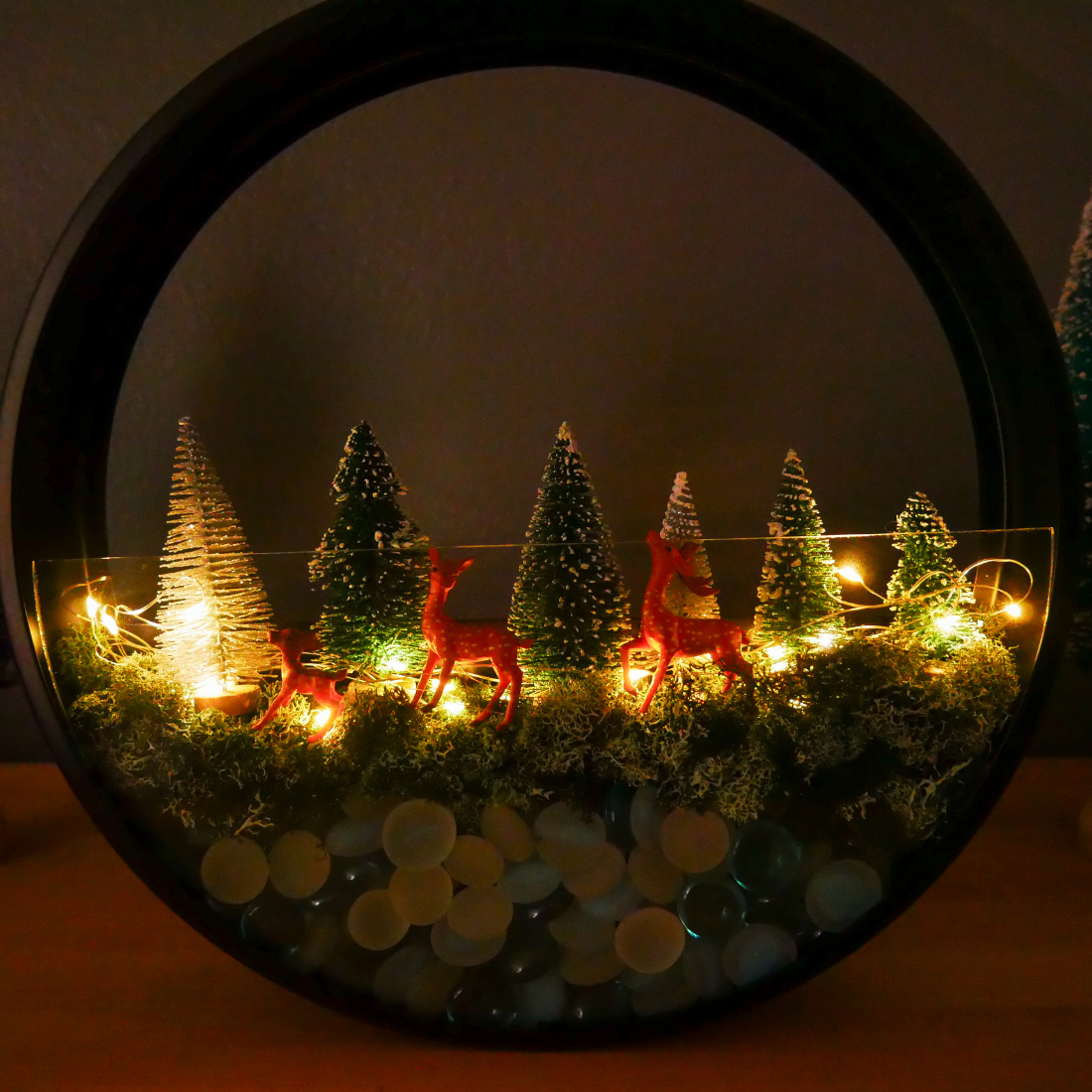 Winter Wonderland Wall Terrarium Kit