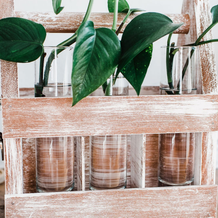 Wood Lovers Gift Set