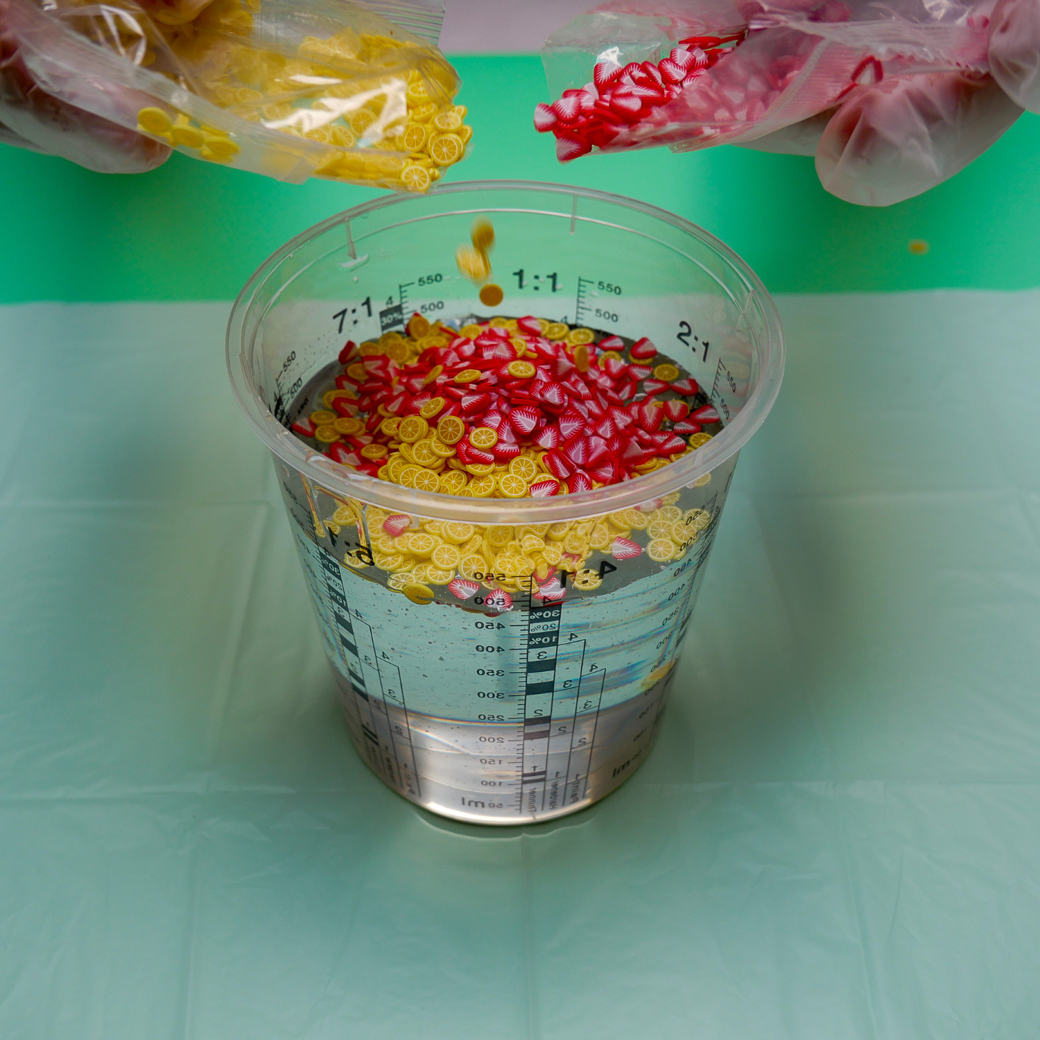 Resin Fruit Tray Kit