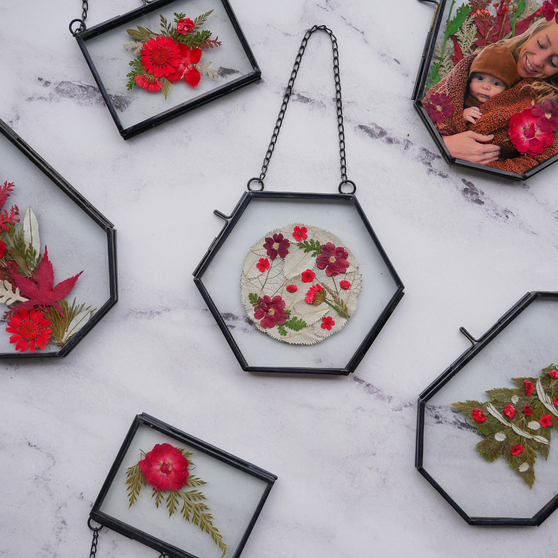 Holiday Framed Pressed Flowers Kit