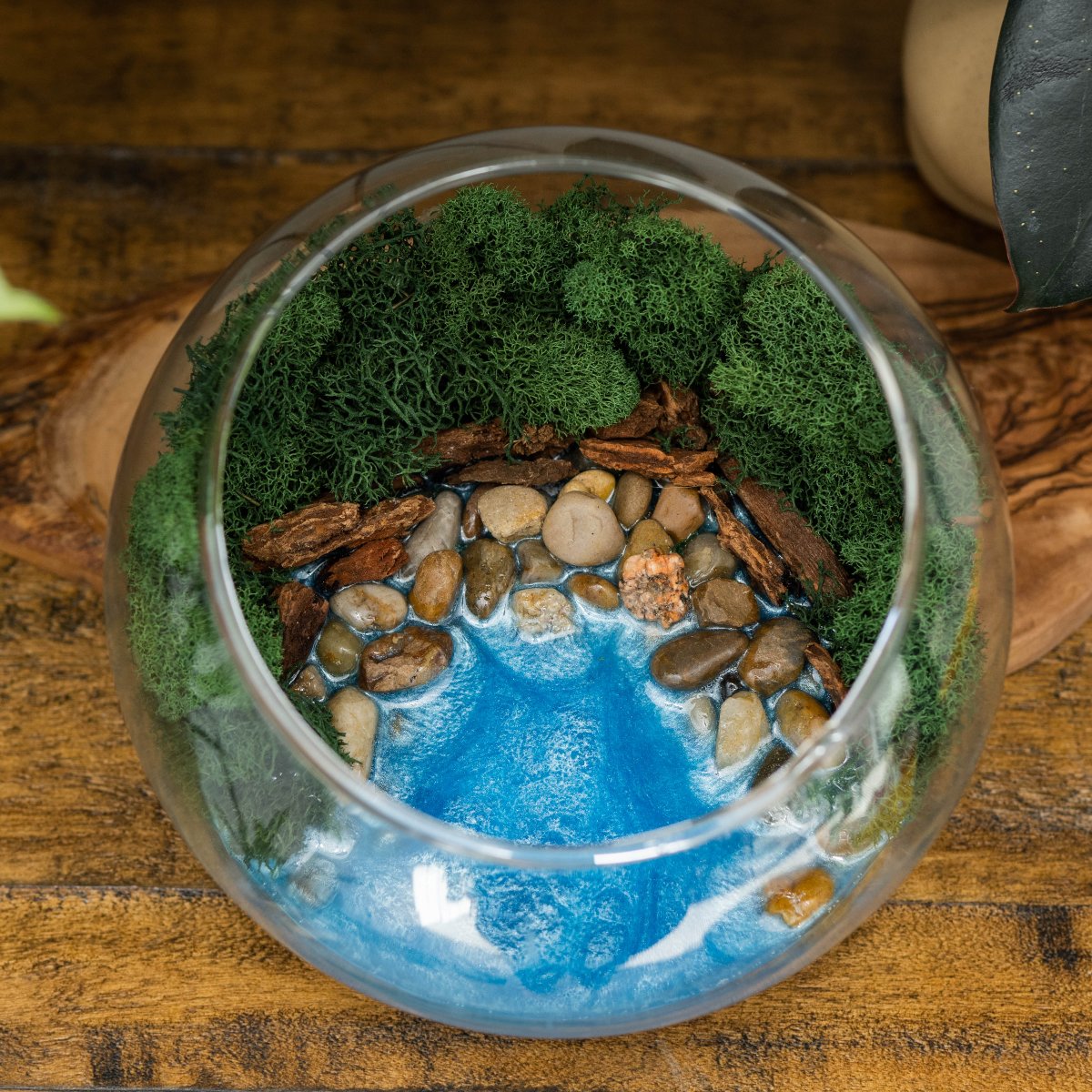 terrarium kit with plants Resin Terrarium Kit