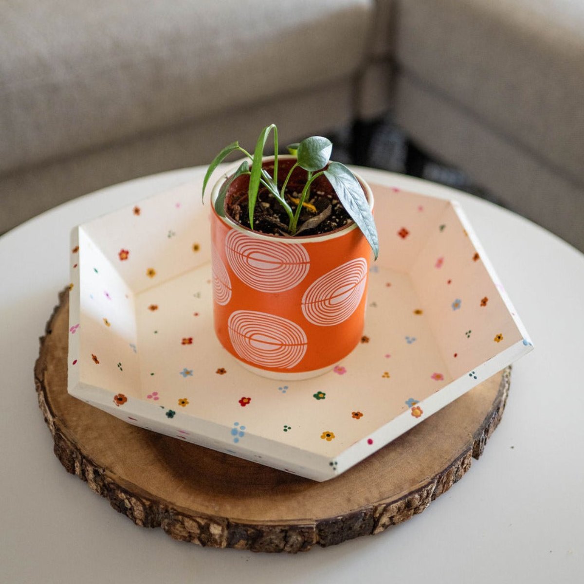 Hexagon Tray Family-Style Craft Pack