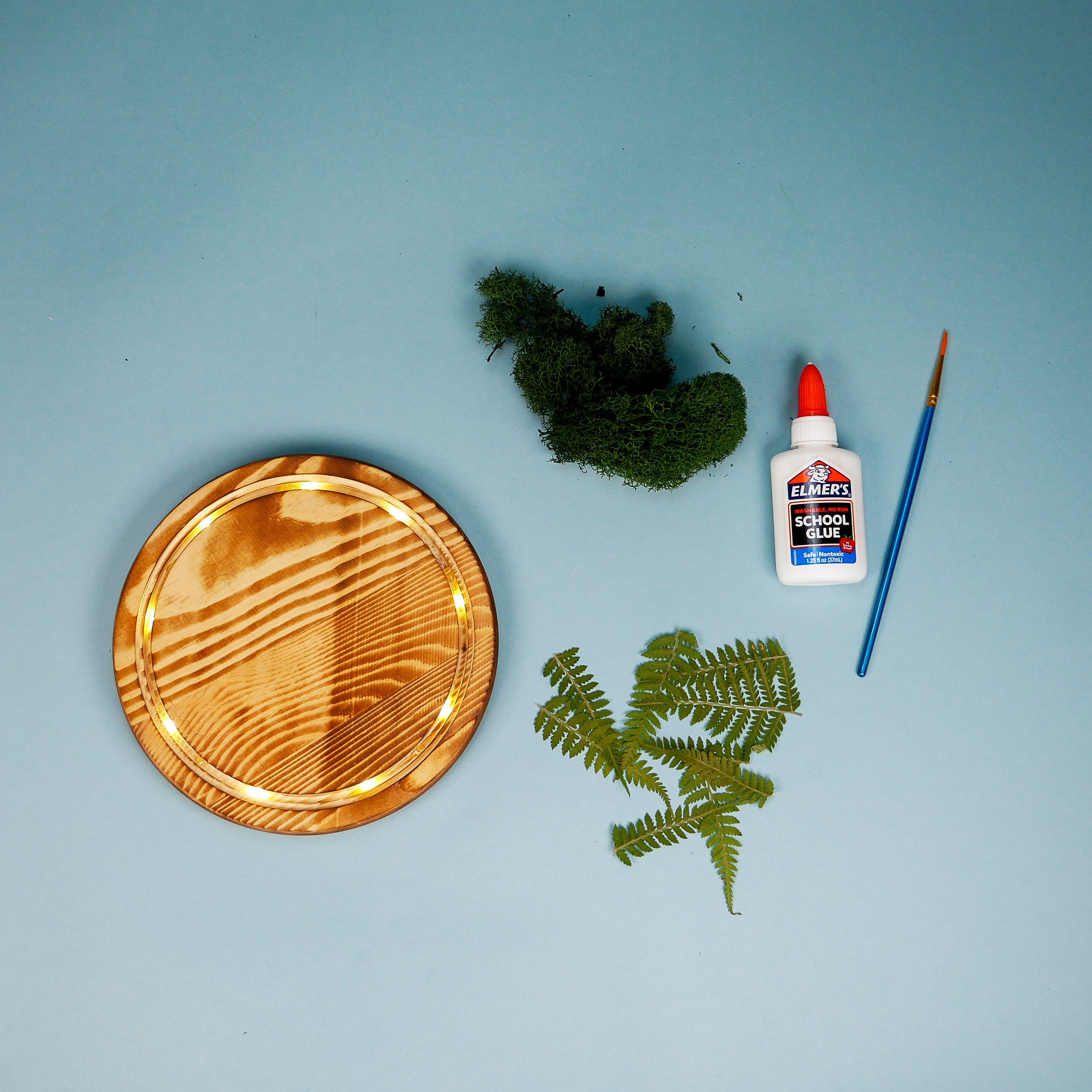 Virtual LED Fairy Garden Class