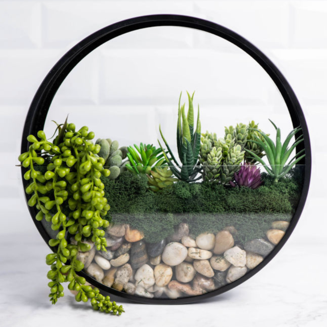 virtual succulent class Virtual Wall Terrarium Craft Class