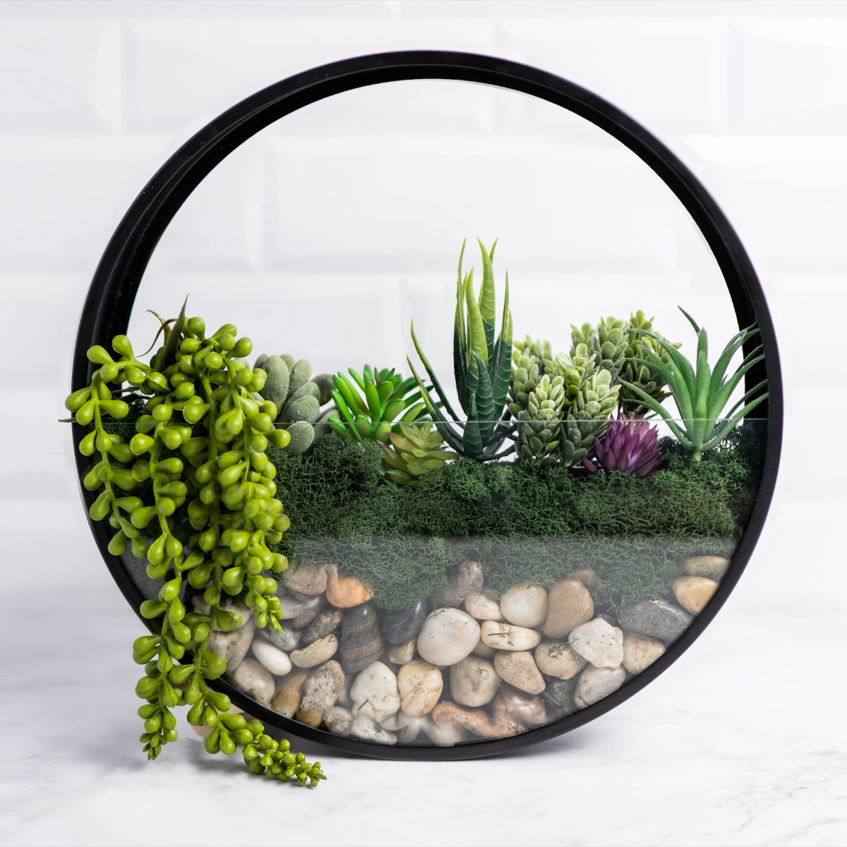 terrarium planter kit Wall Terrarium Kit