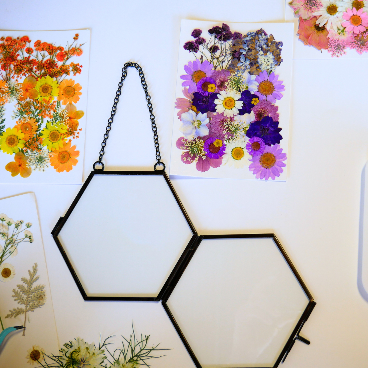 Pressed Flower Frame DIY Craft Kit - Wholesale