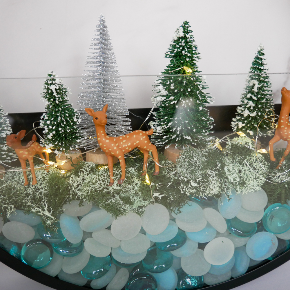 Virtual Winter Wall Terrarium Class