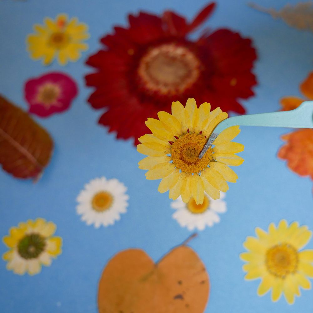 Fall Floral Resin Serving Tray Kit