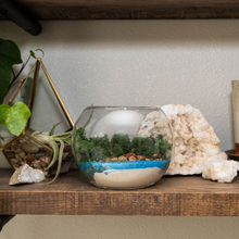 Plant Lovers Gift Set