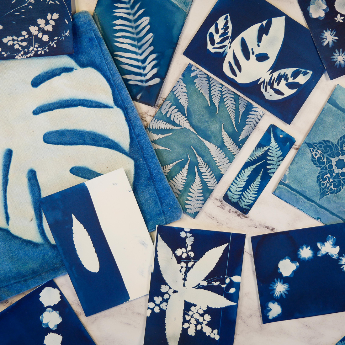 Cyanotype Kit