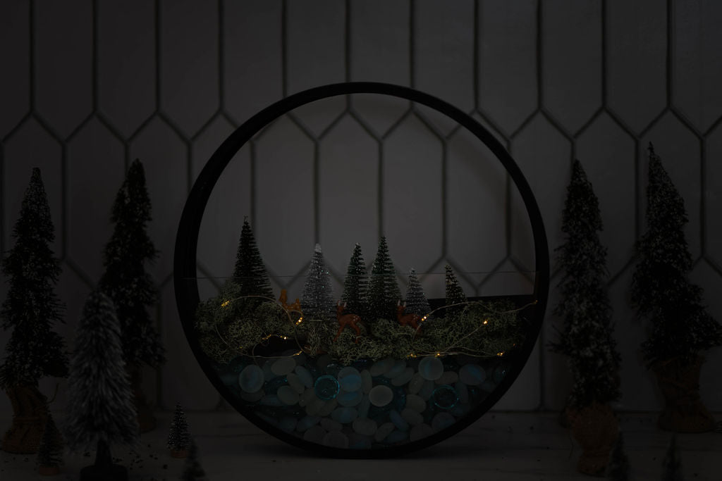 Winter Wonderland Wall Terrarium Kit