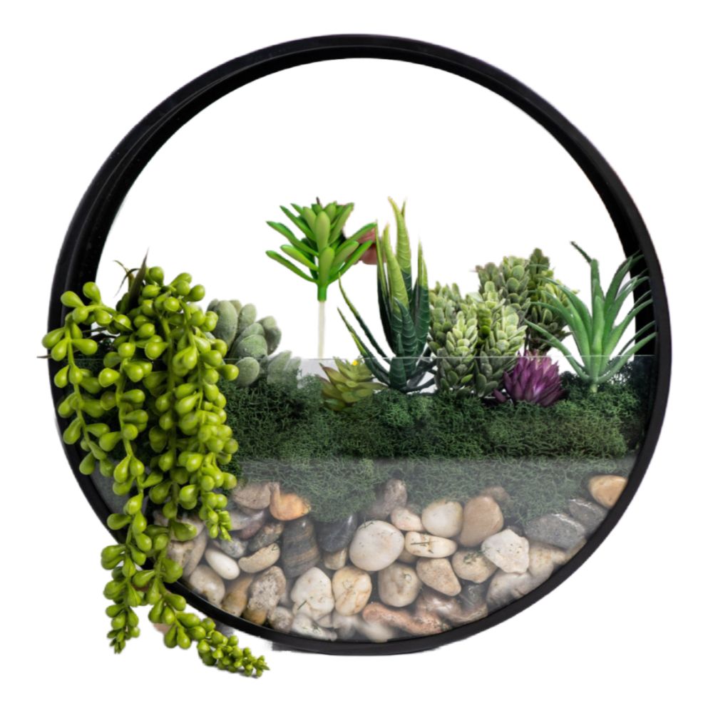 Wall Terrarium DIY Craft Kit - Wholesale