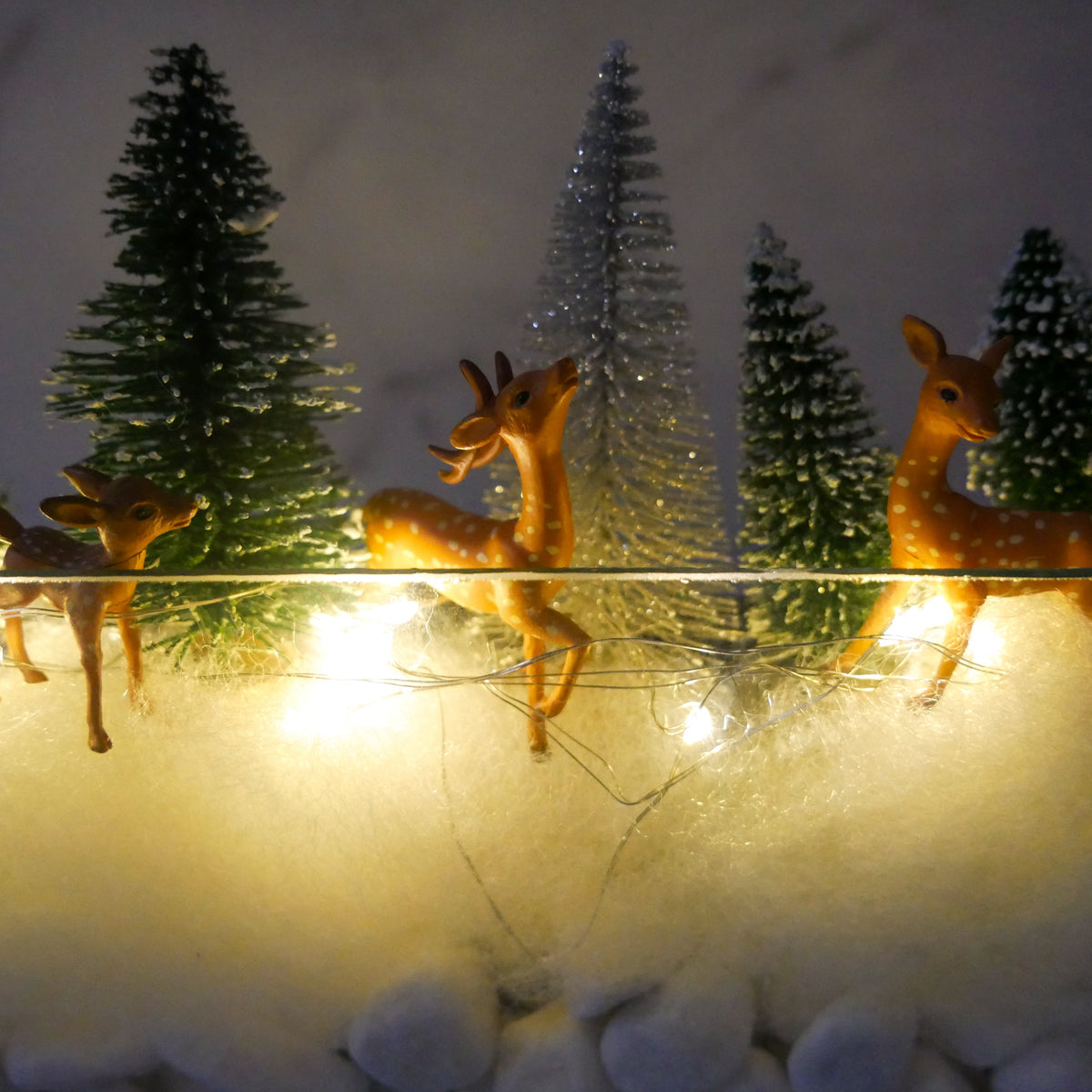 Virtual Winter Wall Terrarium Class