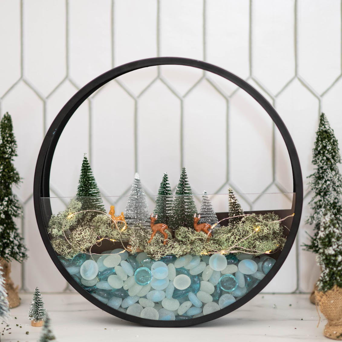 Virtual Winter Wall Terrarium Class