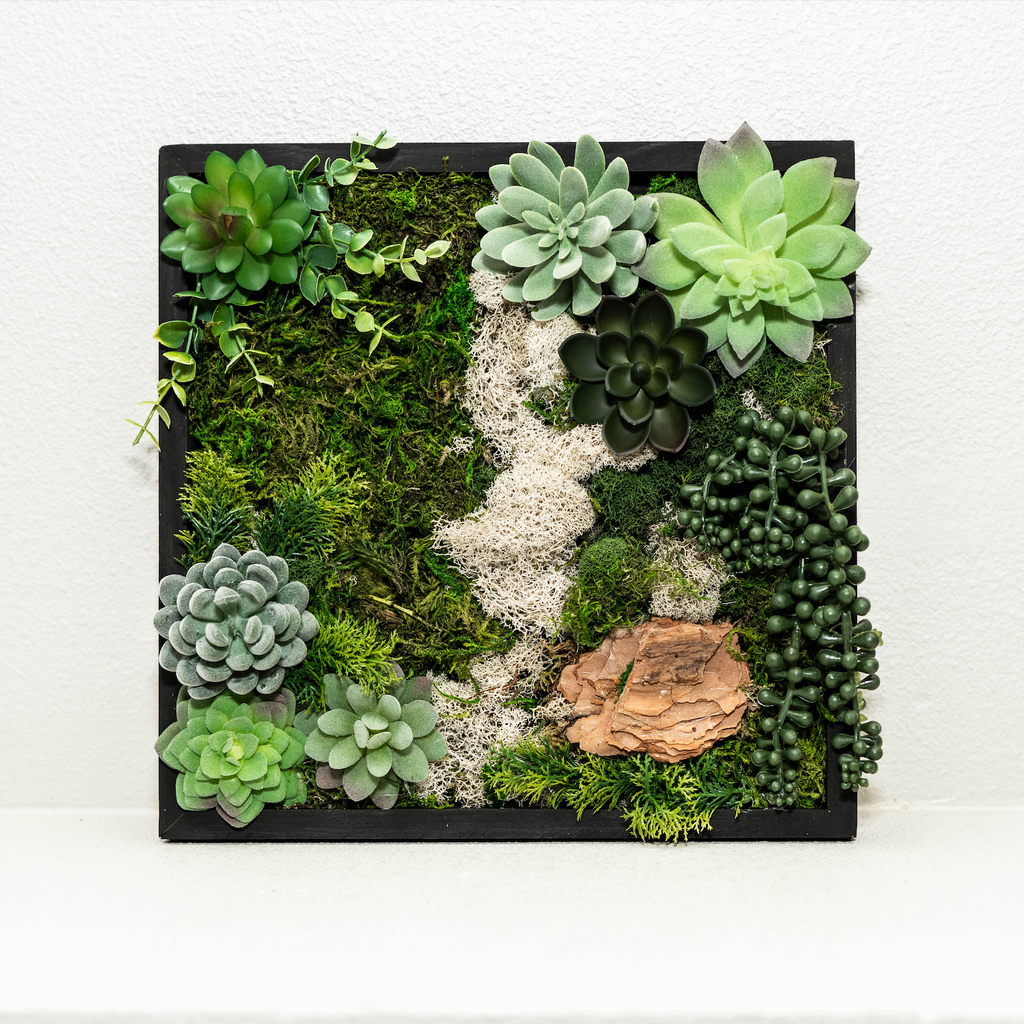 moss and succulent wall art Moss Wall Kit
