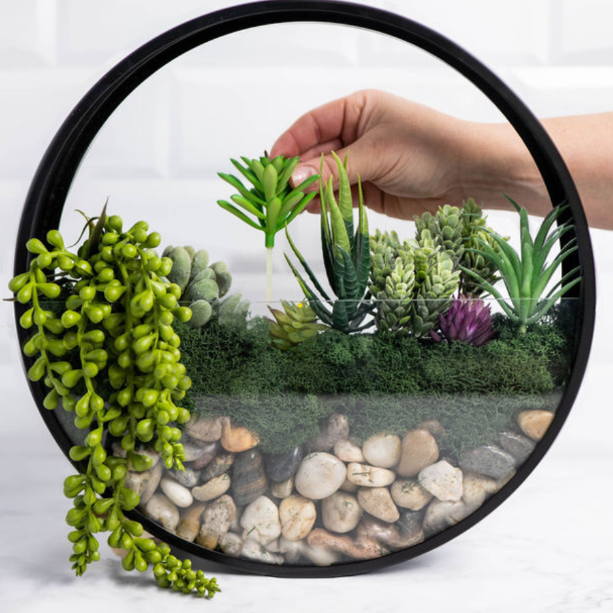 Wall Terrarium DIY Craft Kit - Wholesale