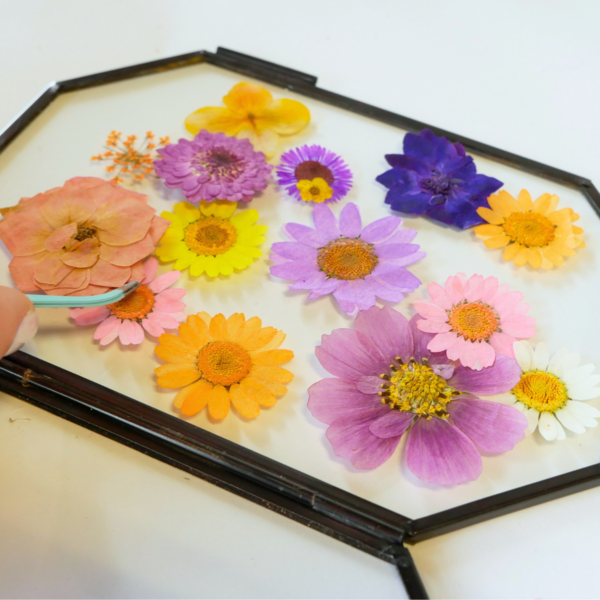 Pressed Flower Frame DIY Craft Kit - Wholesale
