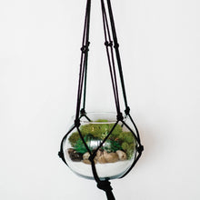 Hanging Terrarium Kit