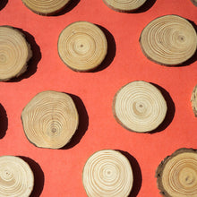 Wood Slice Wreath Kit
